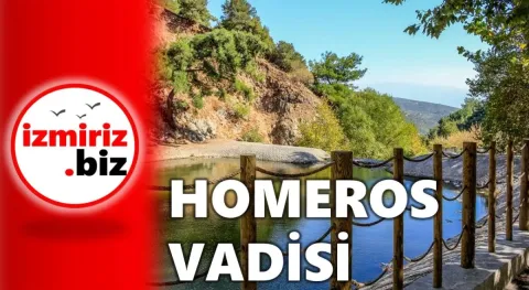 Video Resmi