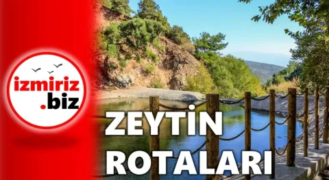 Video Resmi