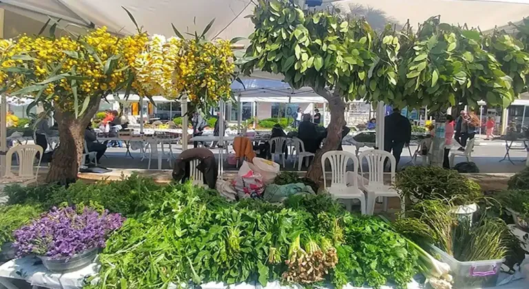 14.ALAÇATI OT FESTİVALİ PROGRAMI AÇIKLANDI