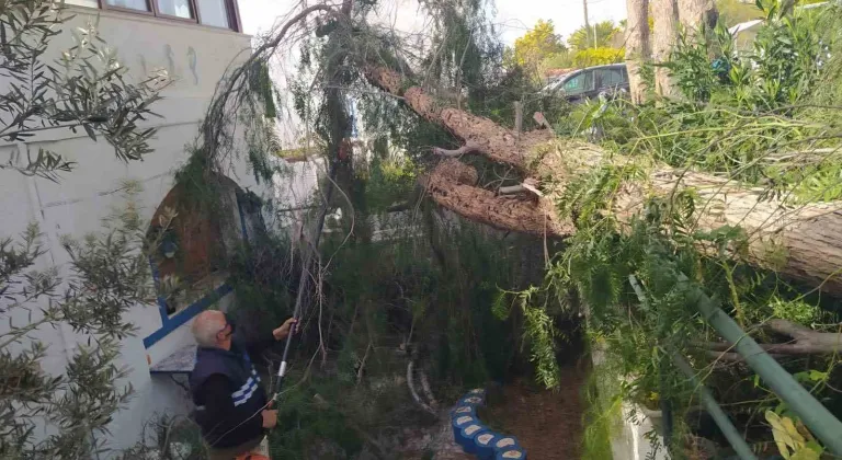 BODRUM'DA FIRTINA VE SAĞANAK ETKİLİ OLUYOR