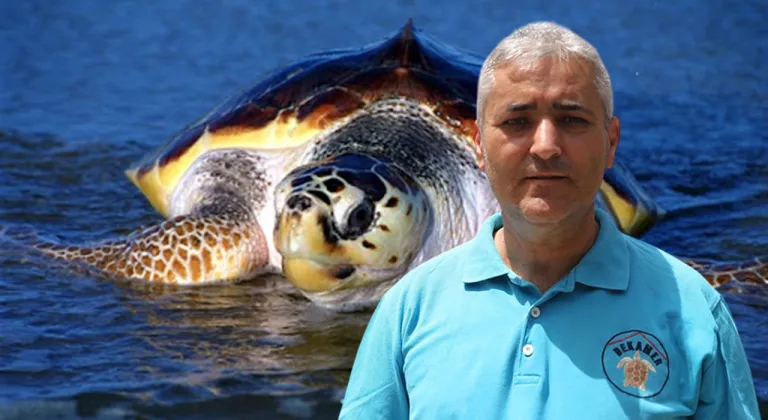 CARETTA CARETTALAR İÇİN SESSİZLİK UYARISI