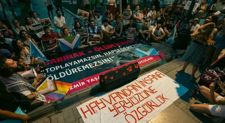 İzmir'de sokak hayvanlarıyla ilgili yasa teklifine karşı hayvanseverler oturma eylemi yaptı