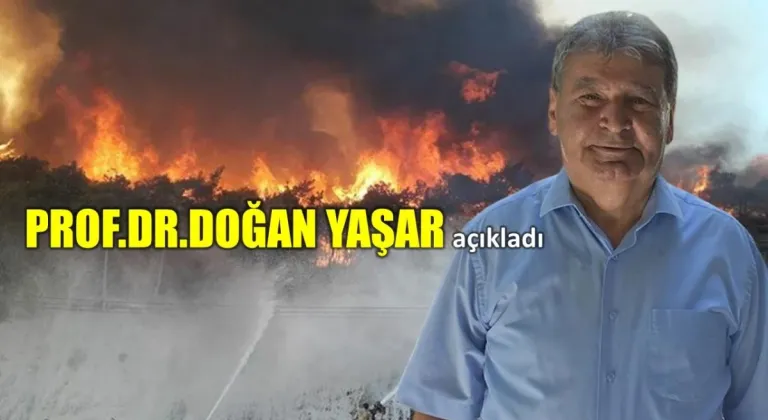 İZMİR'DEKİ YANGINLARIN SEBEBİ NE?