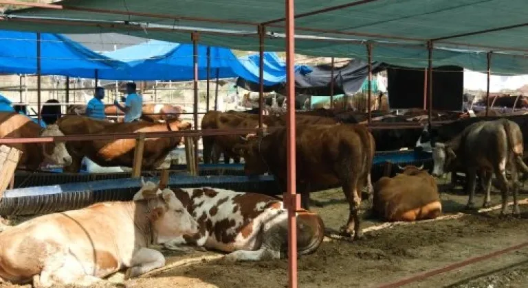 MENEMEN'DE KURBAN BAYRAMI ÖNCESİ SIKI DENETİM