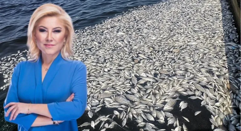 MİLLETVEKİLİ BURSALI : "Siz kirlilikle mücadele etmezseniz , biz sizinle mücadele ederiz"