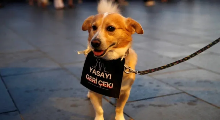 ÖTANAZİ KELİMESİ YASA TEKLİFİNDEN ÇIKARILDI !