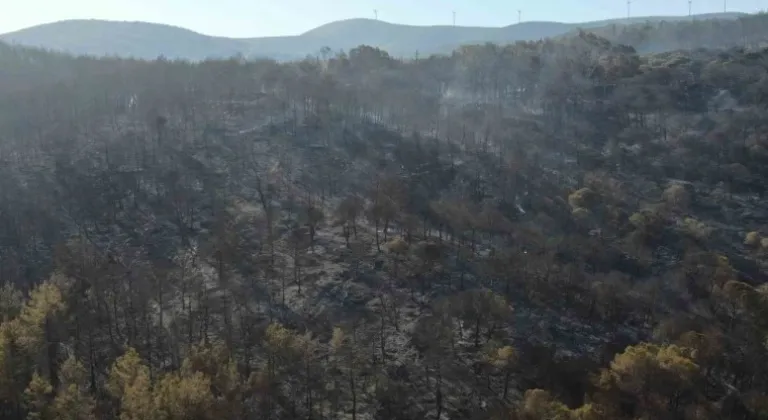 SELÇUK'TA SOĞUTMA ÇALIŞMALARI BAŞLADI