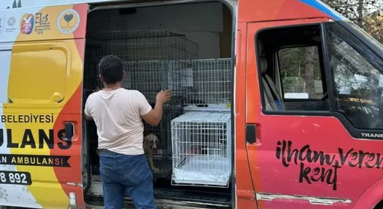 SELÇUK'TA CAN DOSTLAR GÜVENDE