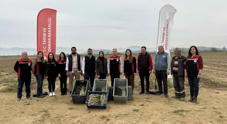 TİRE'DEN KUŞKONMAZ İHRACATI